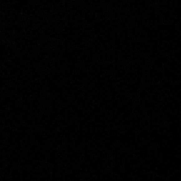 Meet your Posher, Ruby - Picture 1 of 1